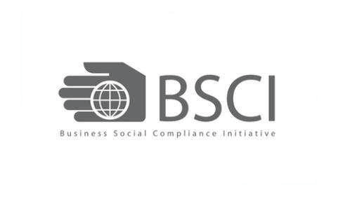 BSCI Audited